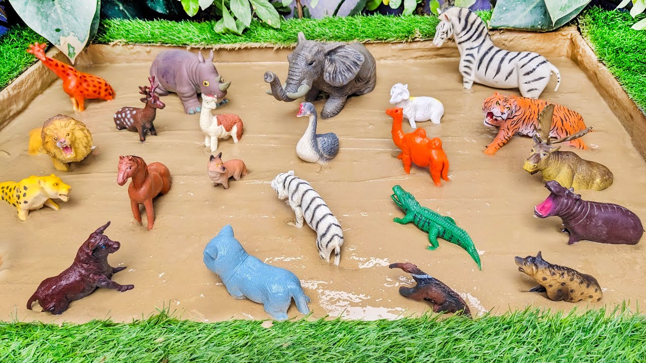 Forest Animals Adventure for Kids and River Animals Stuck in Mud | Fun Learning Activities