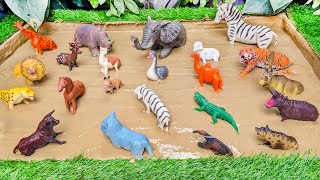 Forest Animals Adventure For Kids And River Animals Stuck In Mud Fun Learning Activities