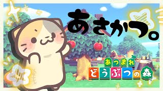 島の開拓期かも？🌴まぐろdeソルト島🌊【あつまれ！どうぶつの森/むぅたま VTuber】