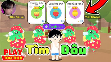 Play Together | Mình Phát Hiện Khu Vực Mới Nông Trại Vị Trí Dâu Tây