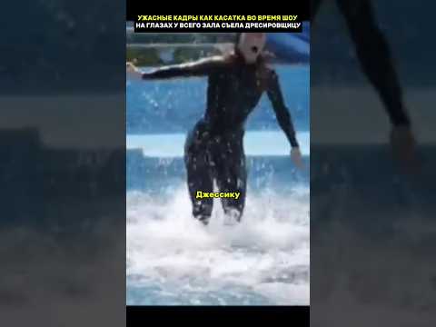 Её съела касатка на глазах у всего зала #ужас #невероятно #реальныесобытия