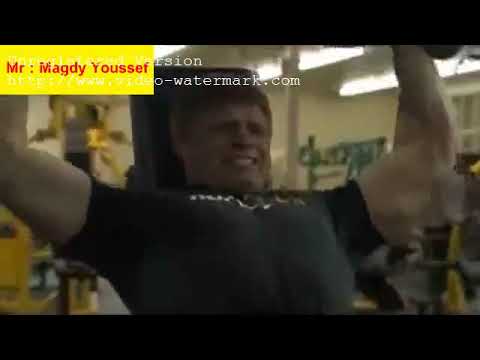 الغدد التناسلية