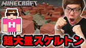 マインクラフト ハーフブロックの上だとスケルトンが超高速 速度調査してみた ヒカキンのマイクラ実況 Part169 ヒカクラ Youtube