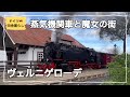 蒸気機関車と魔女の街/ヴェルニゲローデ【ドイツ🇩🇪田舎暮らし】