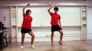 Ares Fac Dance'14 Tutorial 05 - Party on My Level (Mirrored)