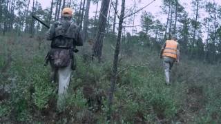 Dec 2015 Alabama Quail Hunt