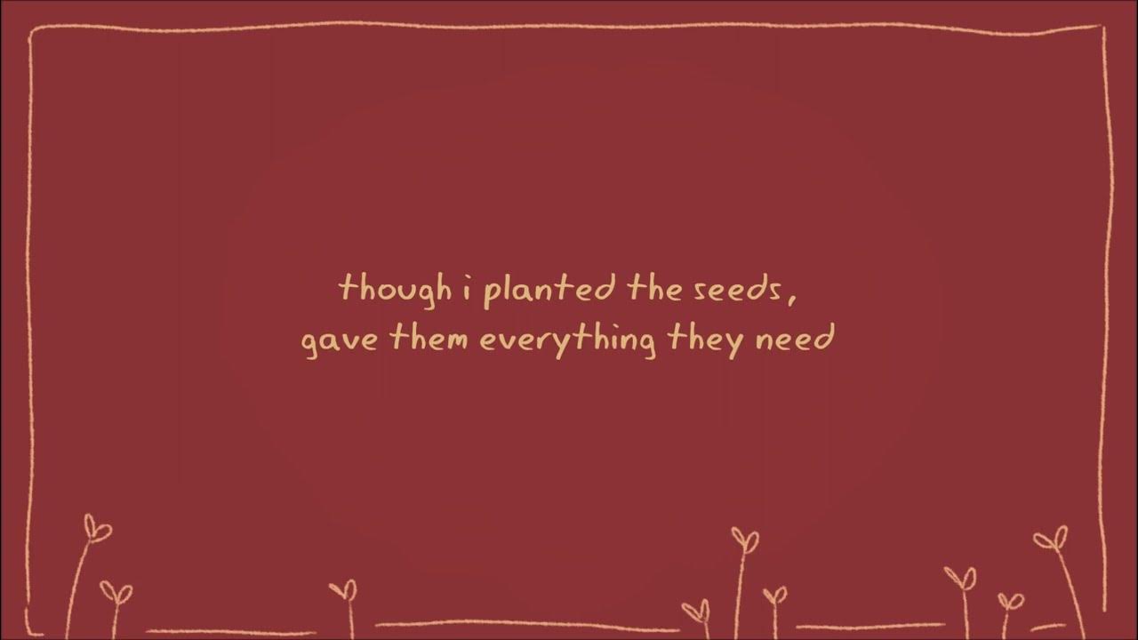 Take Me To War Crane Wives Lyrics Back To The Ground - The Crane Wives [Lyrics] - YouTube