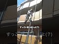 職人ダメな例 #建設 #建設業 #職人 #shorts