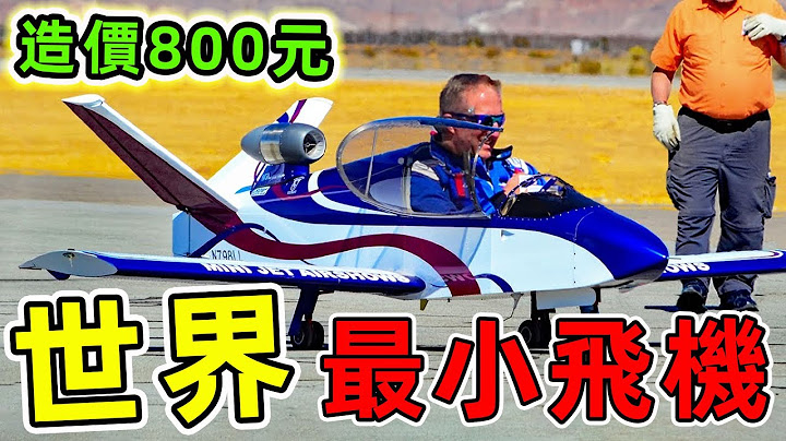 全世界最小的10架飞机，第一名造价不到1000元，飞一小时只要8升油，比开车还便宜。|#最小飞机 #世界之最 #脑洞大开 #出类拔萃 #top10 - 天天要闻