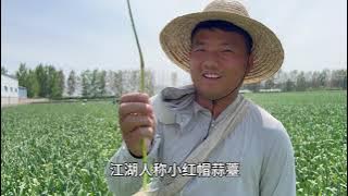 A woman from the city married a man from a rural area seven years ago, but now says she regrets i...