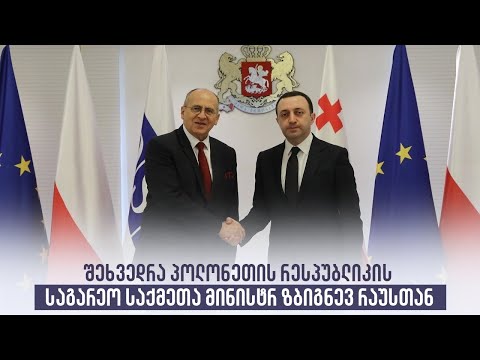 შეხვედრა პოლონეთის რესპუბლიკის საგარეო საქმეთა მინისტრ ზბიგნევ რაუსთან