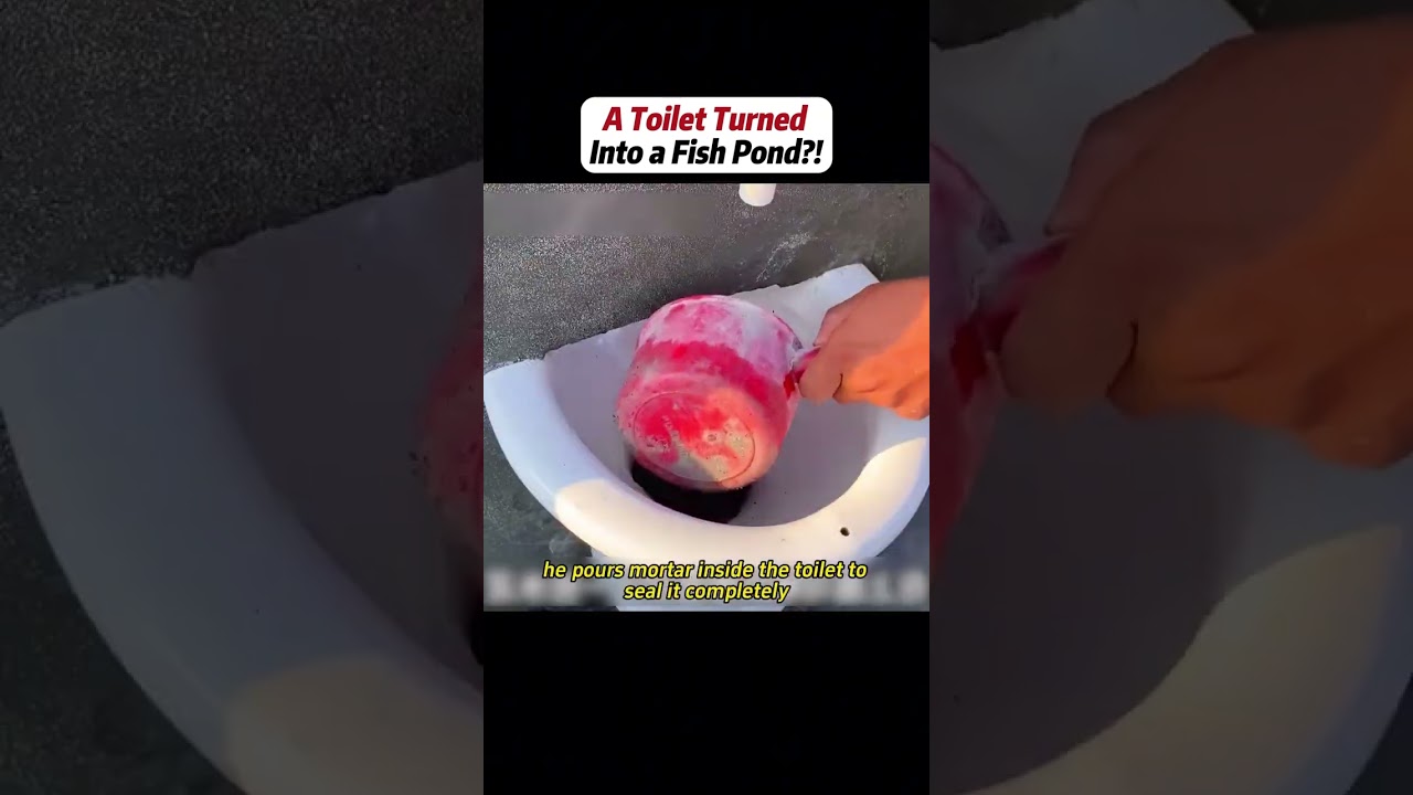 #handwork #Manufacturing #Build #Creativity #Repair #DIY #challenge #Treasurehunt #animalworld