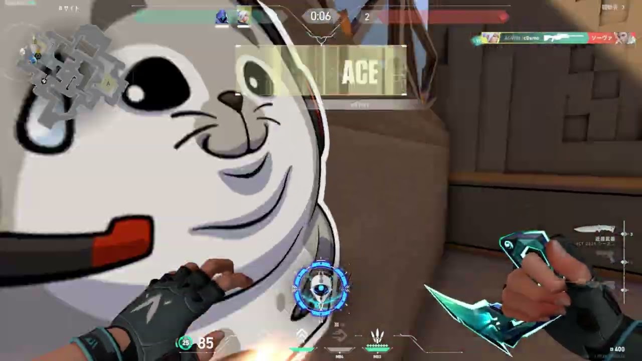 2025 HIGHLIGHT bgm King Gnu - SPECIALZ