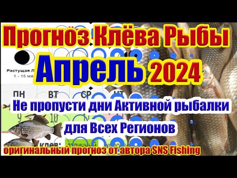 Прогноз клева рыбы Апрель 2024 Календарь рыбака Прогноз клева рыбы на неделю Календарь клева рыбы