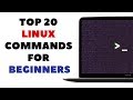 Top 20 Commands Every Linux User MUST KNOW