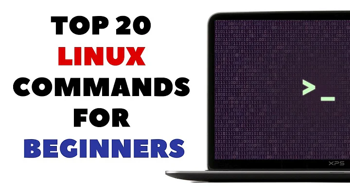 Top 20 Commands Every Linux User MUST KNOW