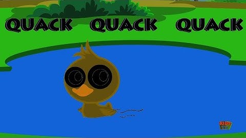 Animal Sounds Duck and Fly Sounds Effects | Sponsored By: Preview 2 Effects 