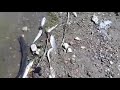 25 июня 2018 г.