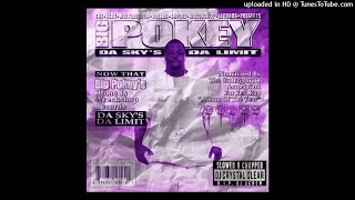 Watch Big Pokey Mob video