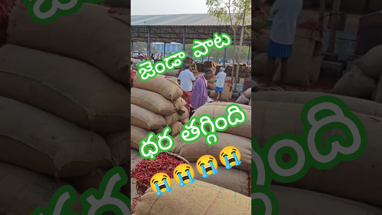 10/02/26 KHAMMAM MIRCHI TOTAL UPDATE 