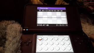 Nintendo dsi Easter egg