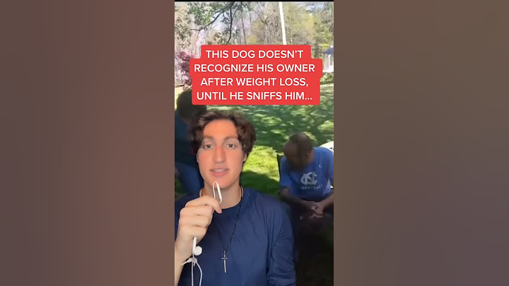 This dog doesn’t recognize his owner after weight loss, until he sniffs him... #Shorts