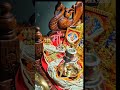 Jai maa shera wali. #sherawali #navratri #vaishnodevi #astha