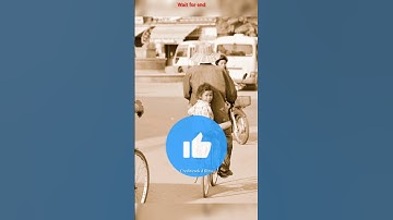 🛩How to survive a Plan crash? Life-Saving Tips You Need To Know!  Part 1 #shorts