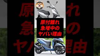 原付バイク離れ急増中の理由がやばい!