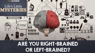 Are You Right-Brained or Left-Brained? screenshot 4