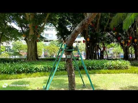 Since pauwi na tayo ditoo tayo sa Parke