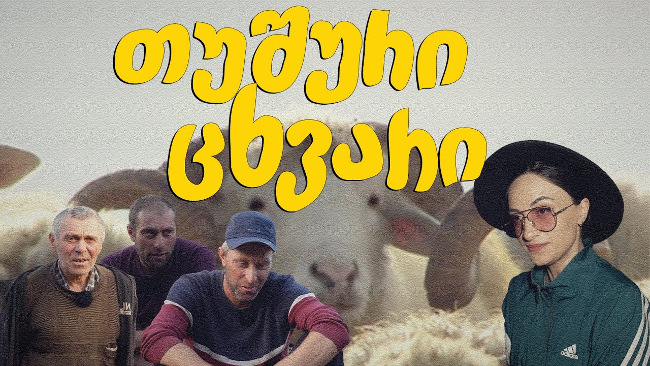 მე ვარ ფერმერი - თუშური ცხვარი ნაწილი III