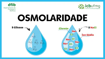 Como calcular osmolalidade Plasmatica?