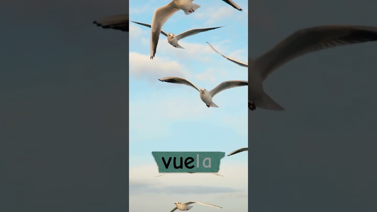 Miniatura de ¿Qué significa volar? 🕊️ Aprende con 'Vuela'