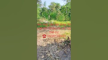 Đất rẻ Thị xã Gò Công Tiền Giang chỉ 2triệu/m Mặt tiền đường ô tô