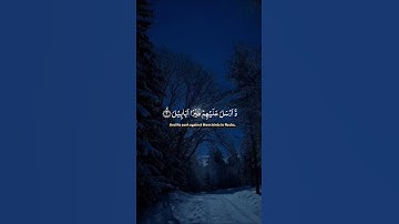 ﴿سورة الفيل﴾#قران_كريم #المصحف #اكسبلور #لايك