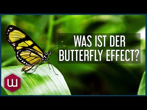 Video: Warum Ist Der Schmetterlingseffekt Gefährlich? - Alternative Ansicht