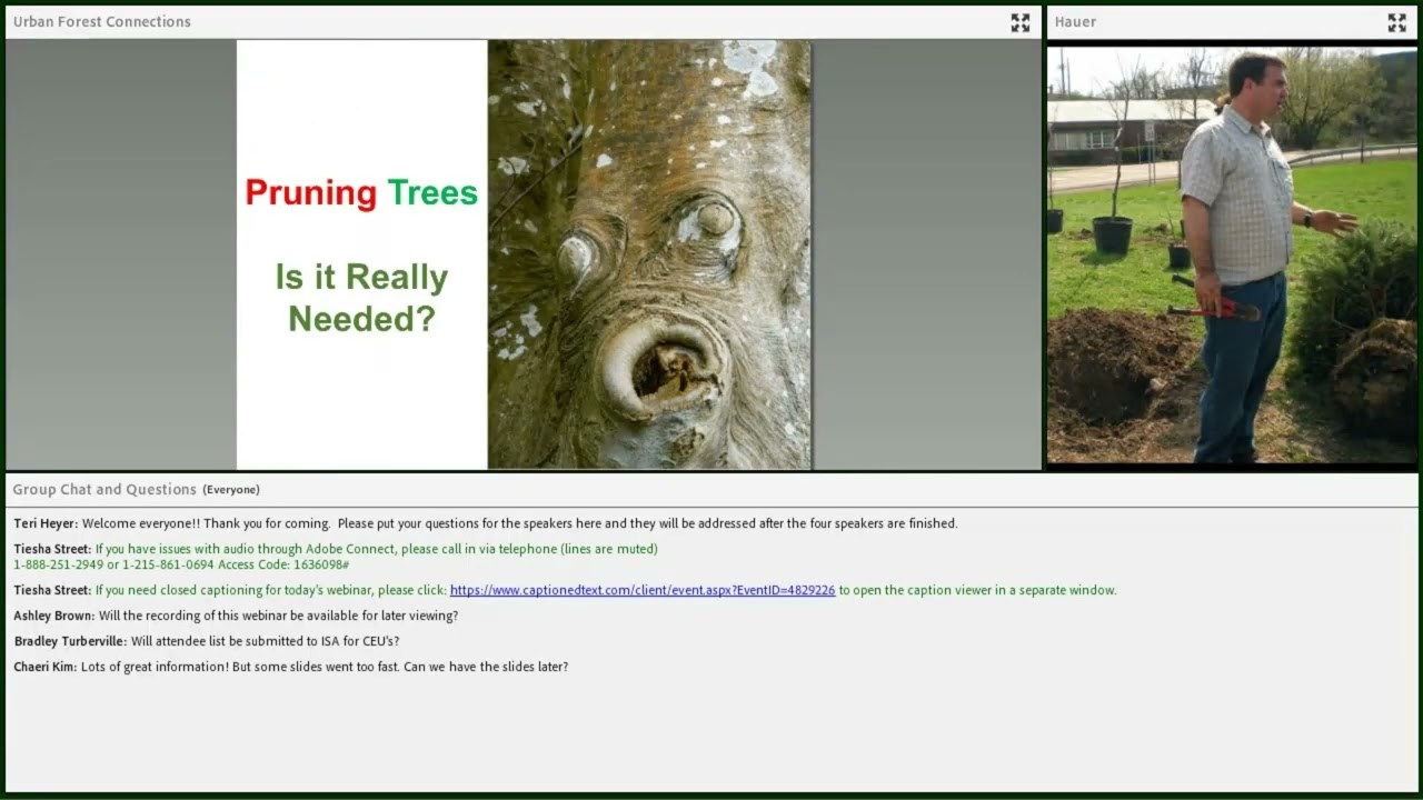 Urban Forest Connections | The Influence of Pruning on Urban Forest Health | Richard Hauer