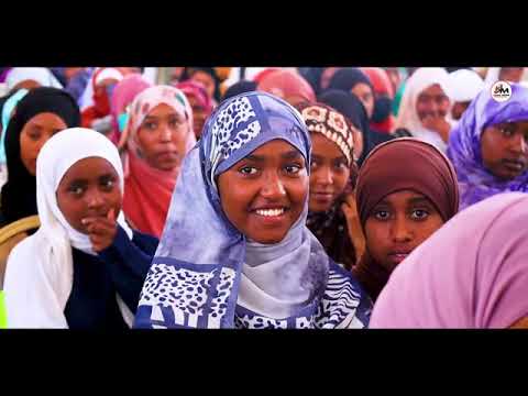 New Best Nashiidaa Haaraya Afaan Oromoo Hambaa Seenaa Jam Aa Keeboor