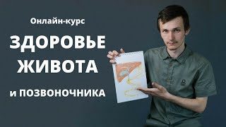 Нажми сюда ➡️ Курс ЗДОРОВЬЕ ЖИВОТА и ПОЗВОНОЧНИКА