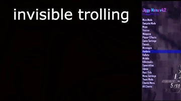 Invisible Trolling On Bo2