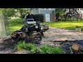Birkdale stump removal