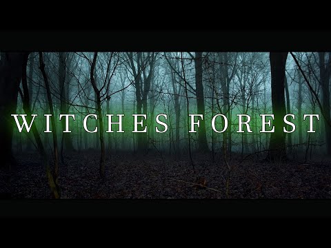 THE WITCHES FOREST | Full Movie