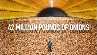 Amazing! How We Store Onions 10 Months! 42 Million Pounds Of Onions, Episode 3 Owyhee Produce