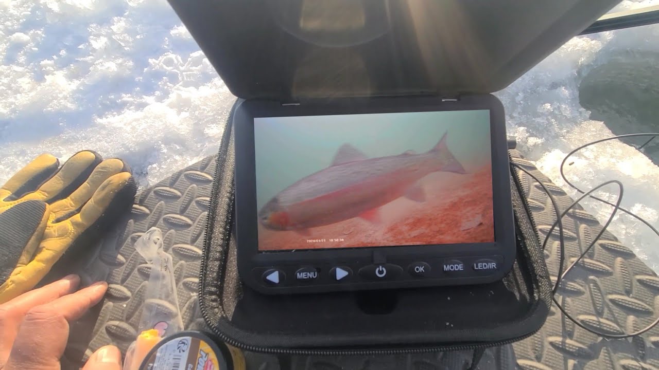 New 1080p MOQCQGR underwater ice fishing camera Footage YouTube