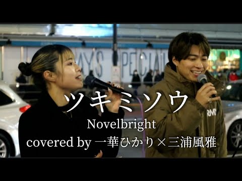 ツキミソウ/Novelbright【covered by 一華ひかり×三浦風雅】