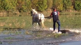 Because Horseback Riding is so 2014