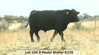 9 Peaks Stellar K235