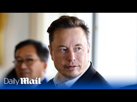 Elon musk meets emmanuel macron during 'choose france' summit