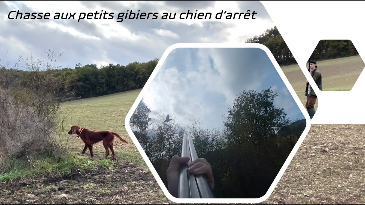 OBERTHUR J.‎ ‎Gibiers de notre pays, livre quatrième